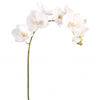artificial-white-orchids